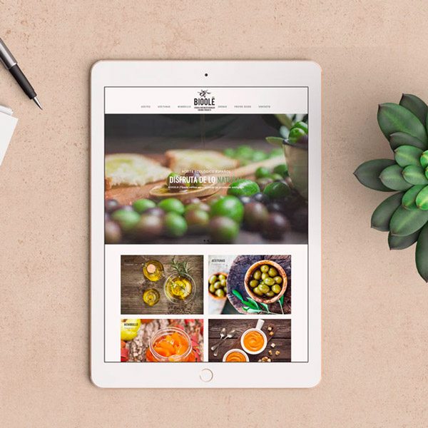 Marketing E Commerce - Tienda Online Bioolé - Agencia De Marketing Valencia